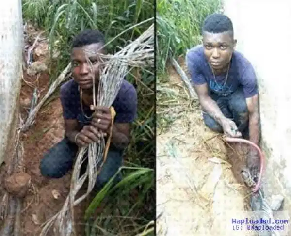 Find Out What a Man Said After Being Caught Stealing Cables Meant for Light Up Lagos Project